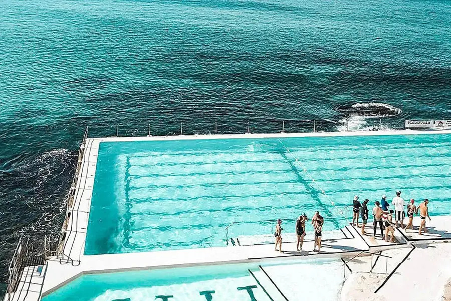 pop up gazebo with netting